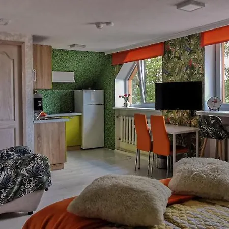 Central Riverside Apartments Jēkabpils Extérieur photo